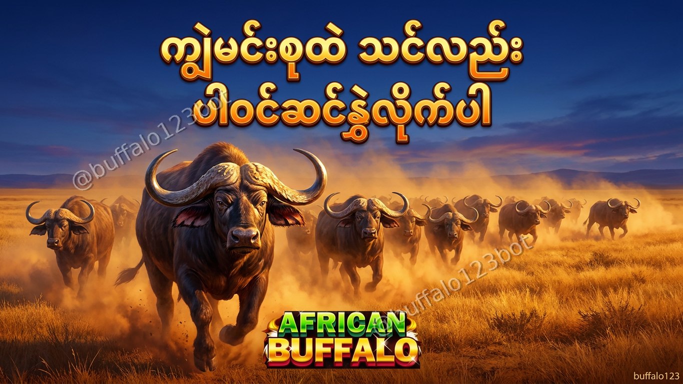ကျွဲဂိမ်း Buffalo123 Official
