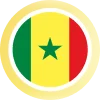 🇸🇳