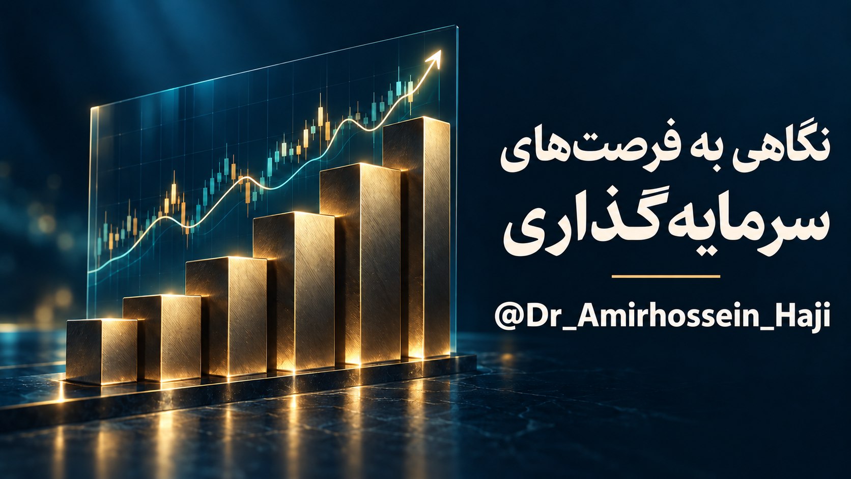 امیرحسین حاجی | سرمایه گذاری