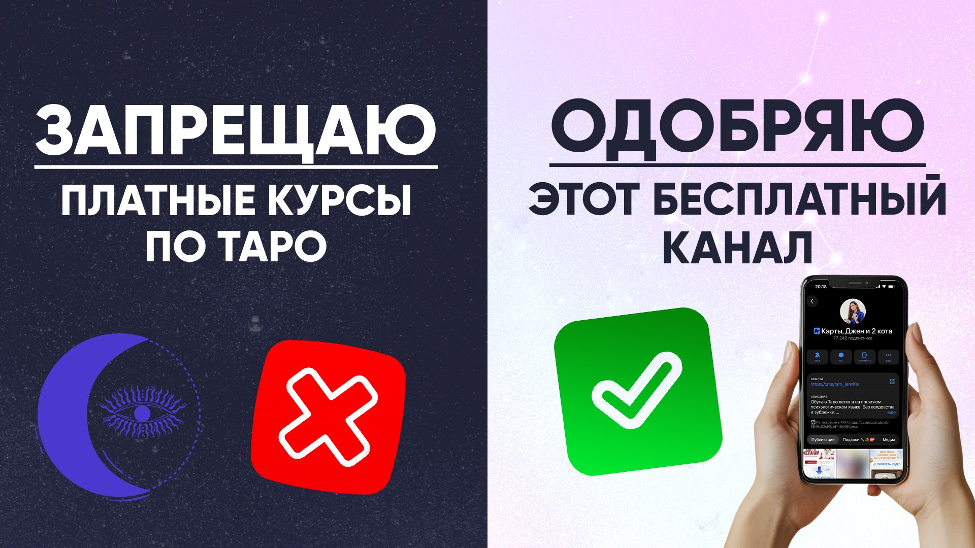 Карты, Джен и 2 кота