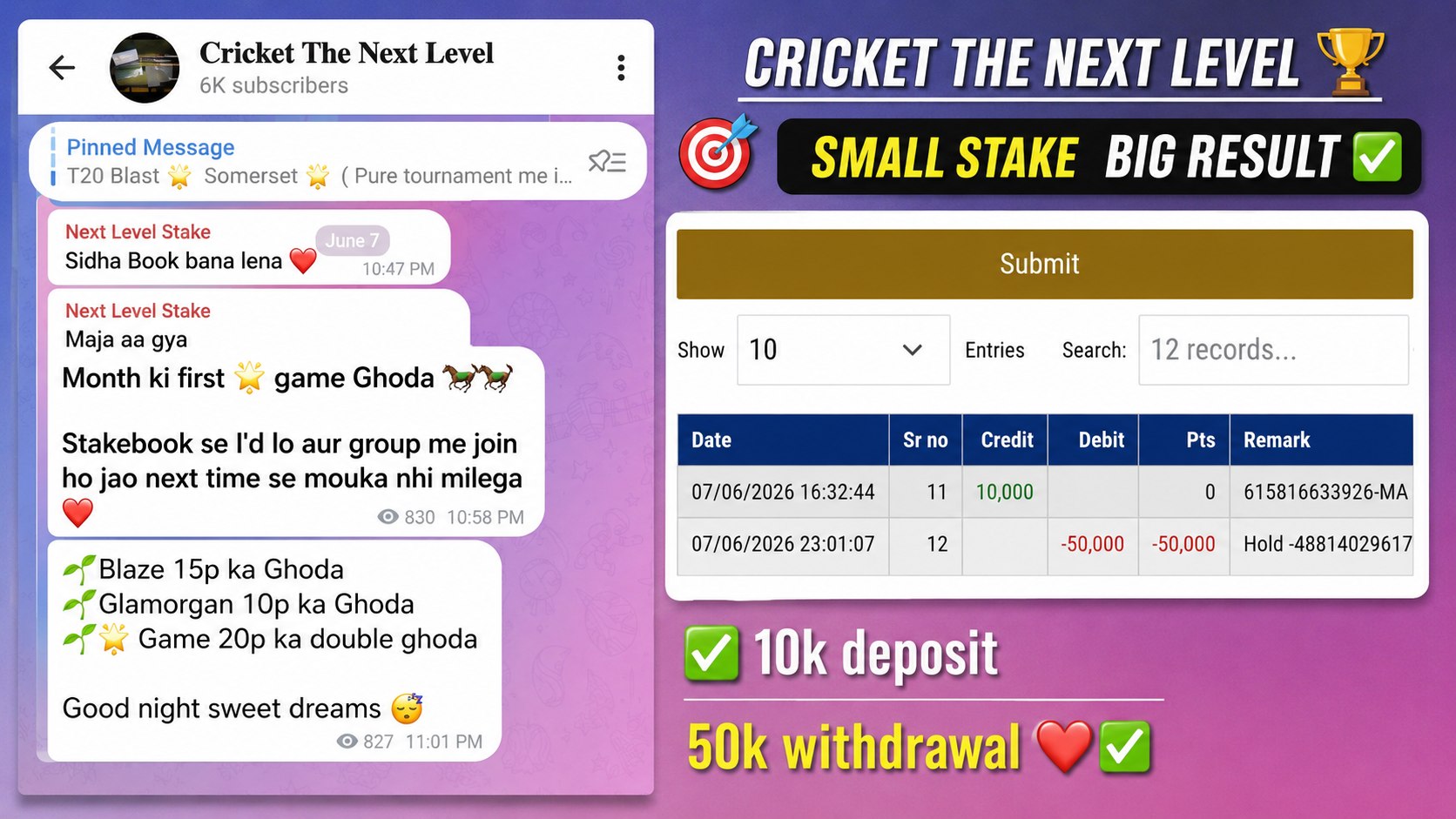 Cricket The Next Level