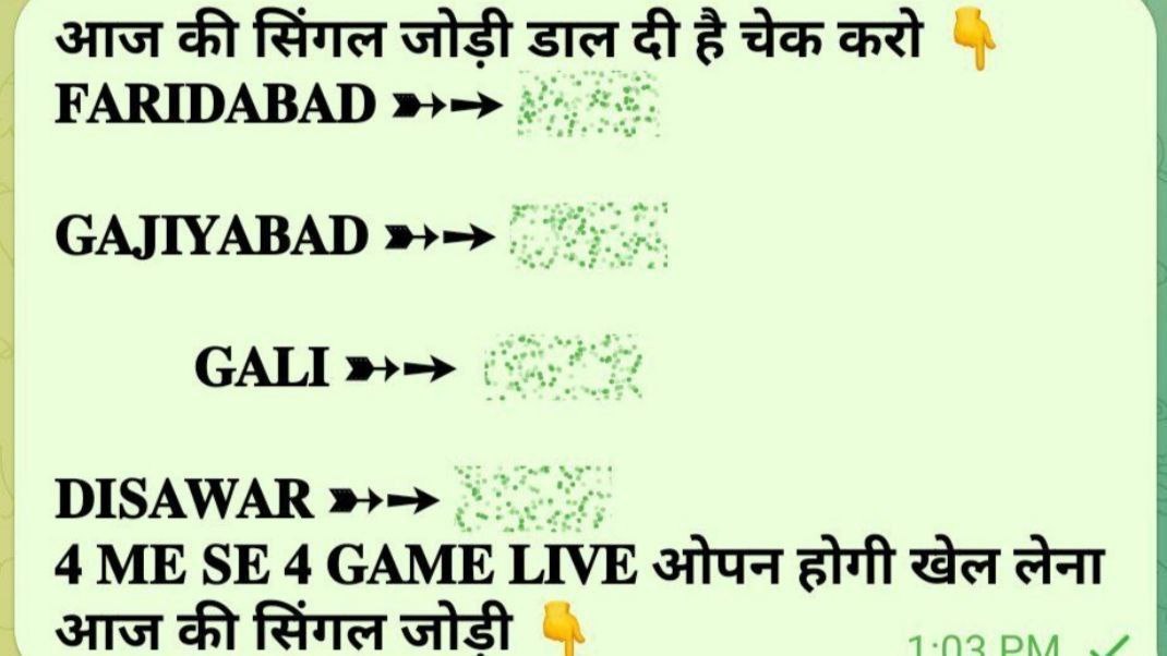 अली खान ~सिंगल जोड़ी