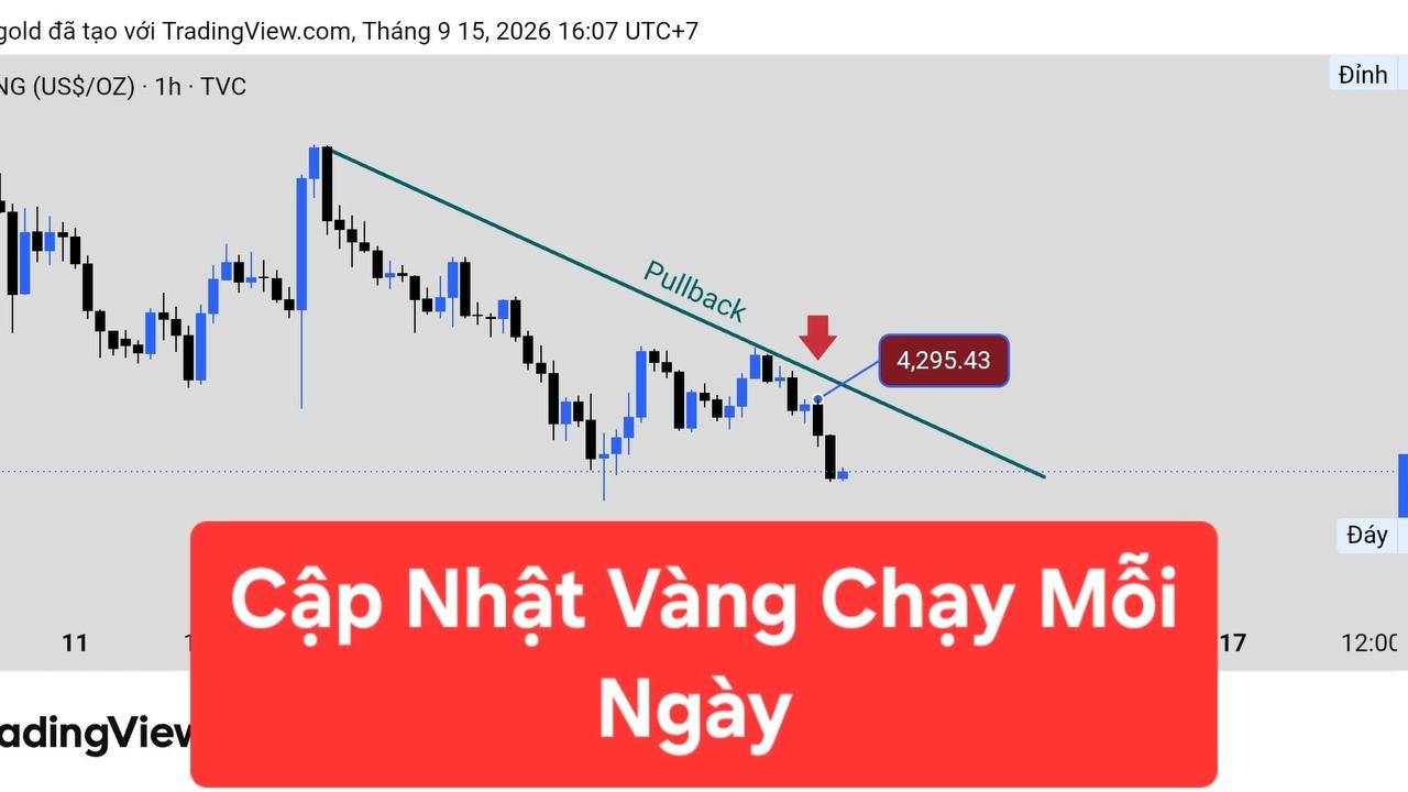 ALY TRADE GOLD