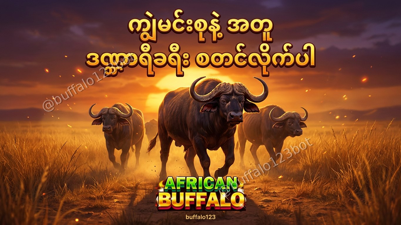 ကျွဲဂိမ်း Buffalo123 Official