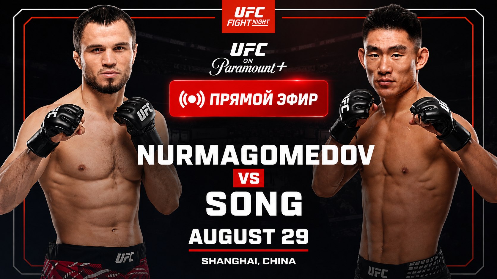 UFC LIVE 296