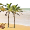 🌴