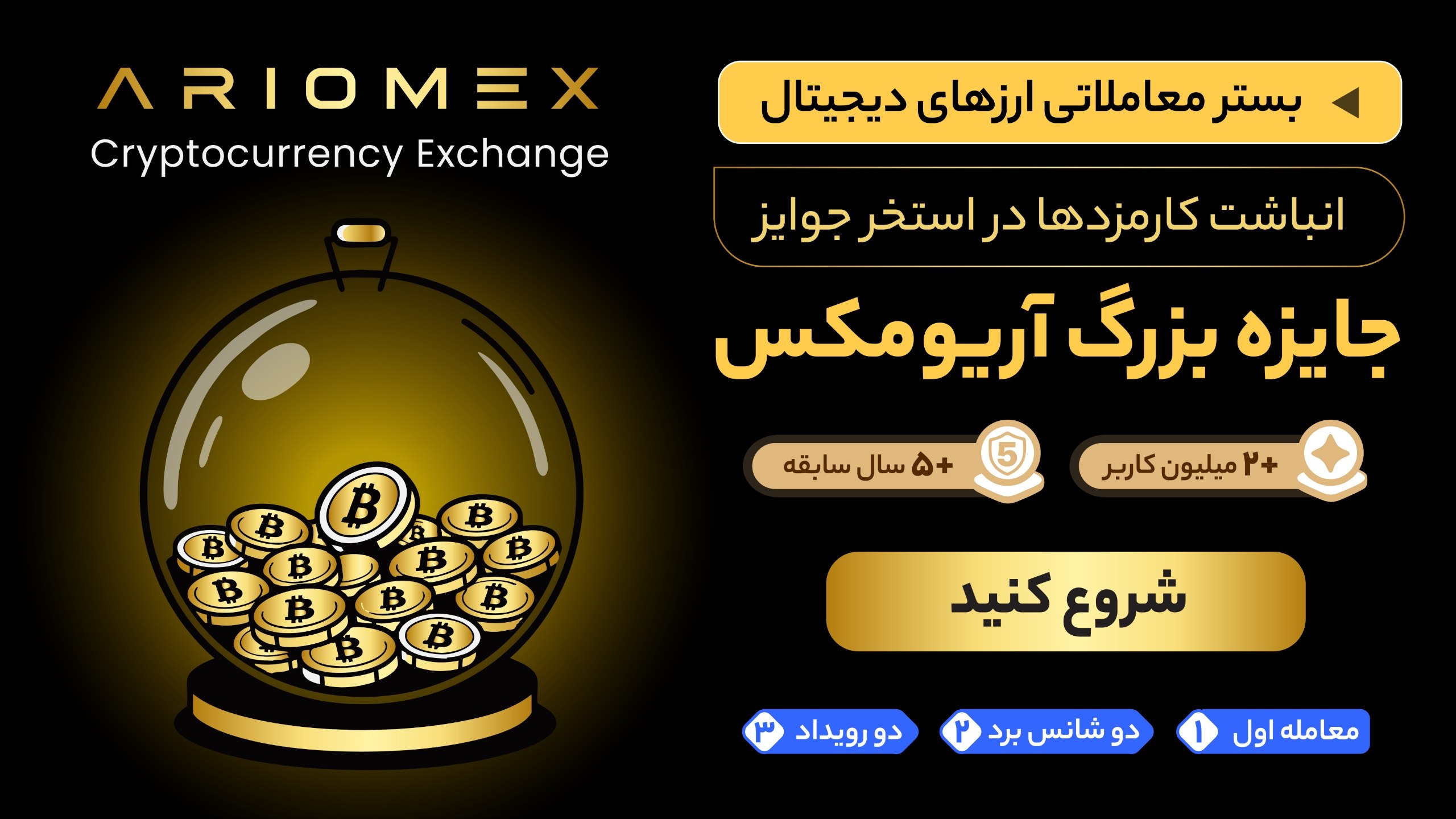 Ariomex | آریومکس