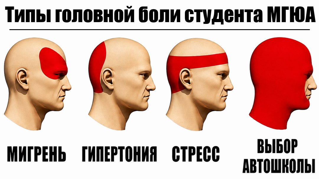 Автошкола для студентов МГЮА