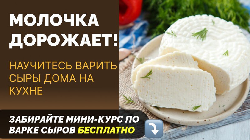 Мини-курс по варке сыров🎁