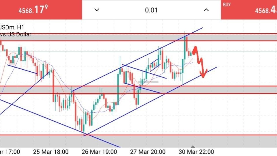 GOLD MARKET DOMINATOR