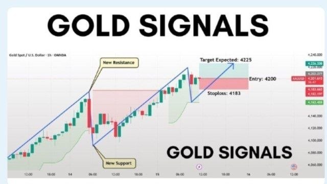 @tradingmaster_20bot
