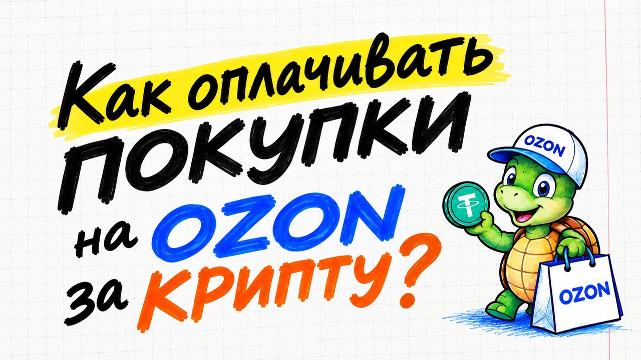 QRypto Turtle Blog