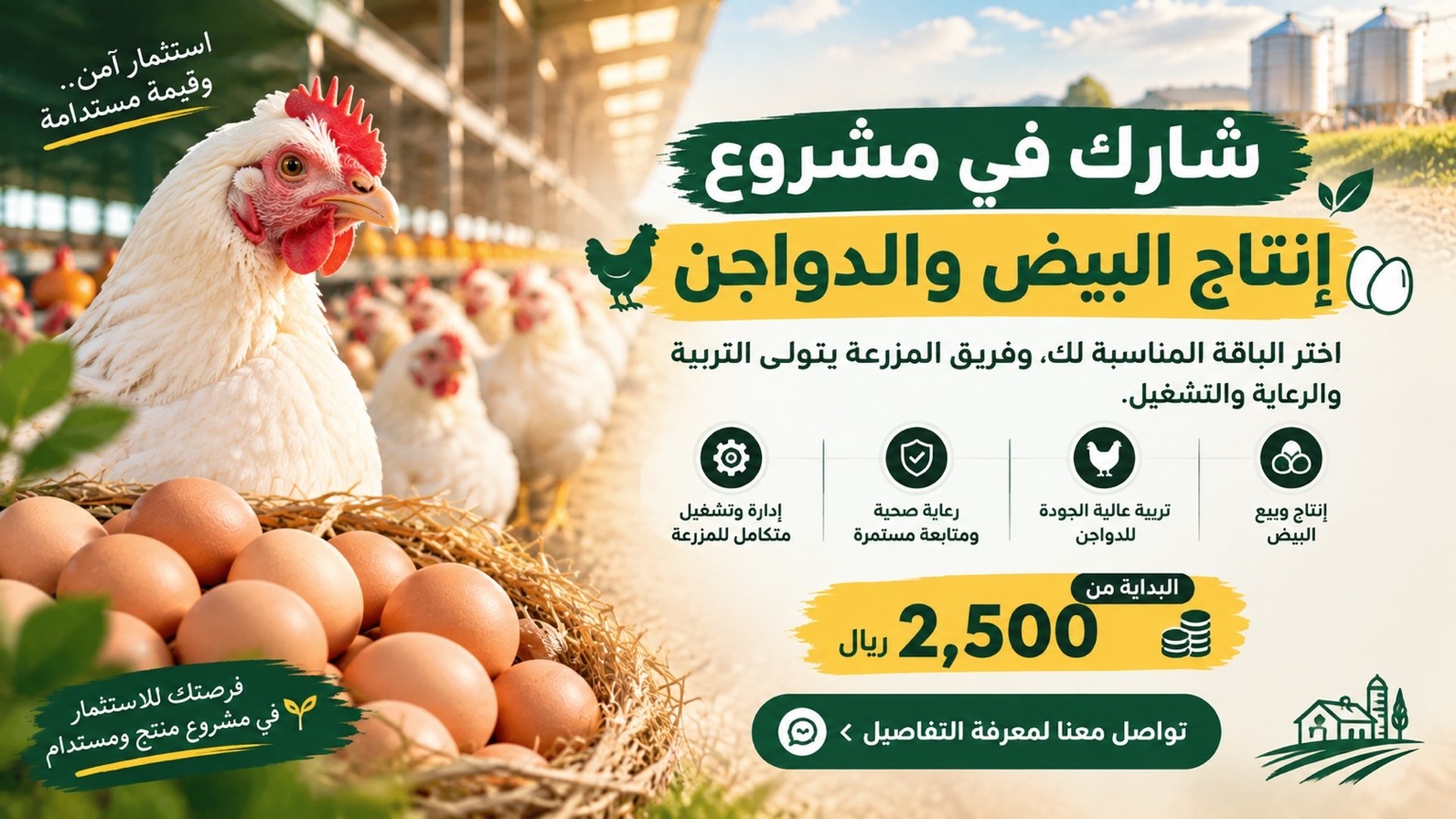 استثمار مزارع || للدواجن