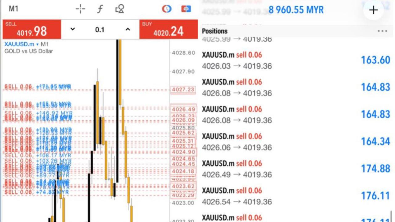 Duan Traders MYR