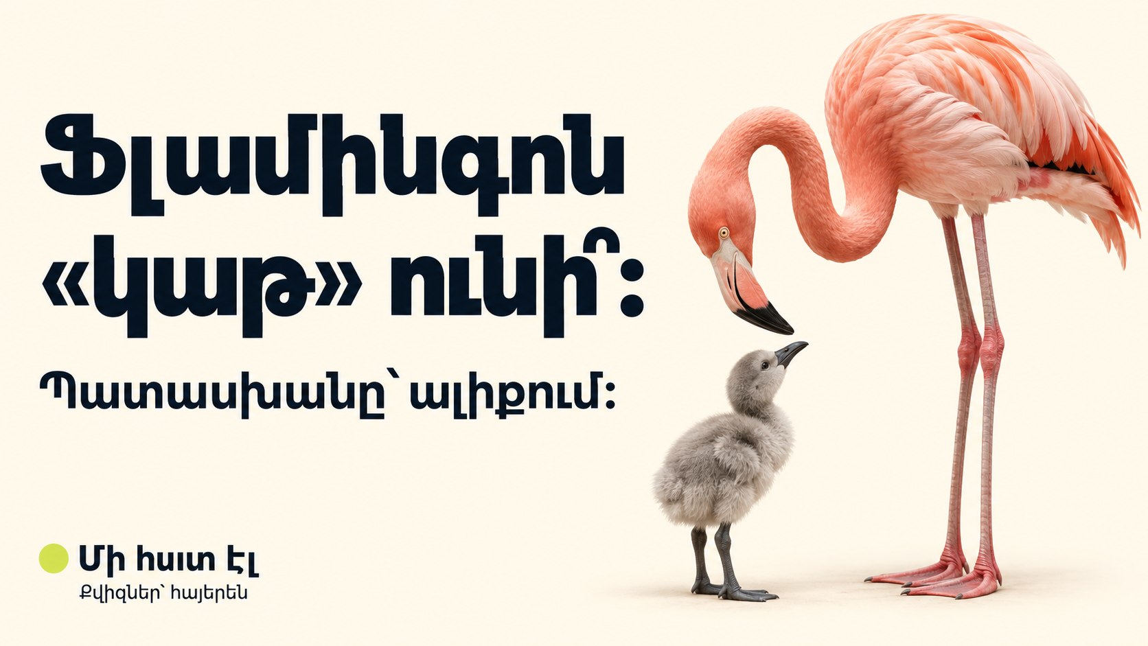 Մի հատ էլ