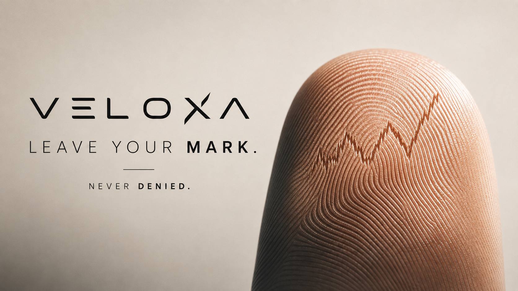 ⌁ VΞLOXA | 🦂