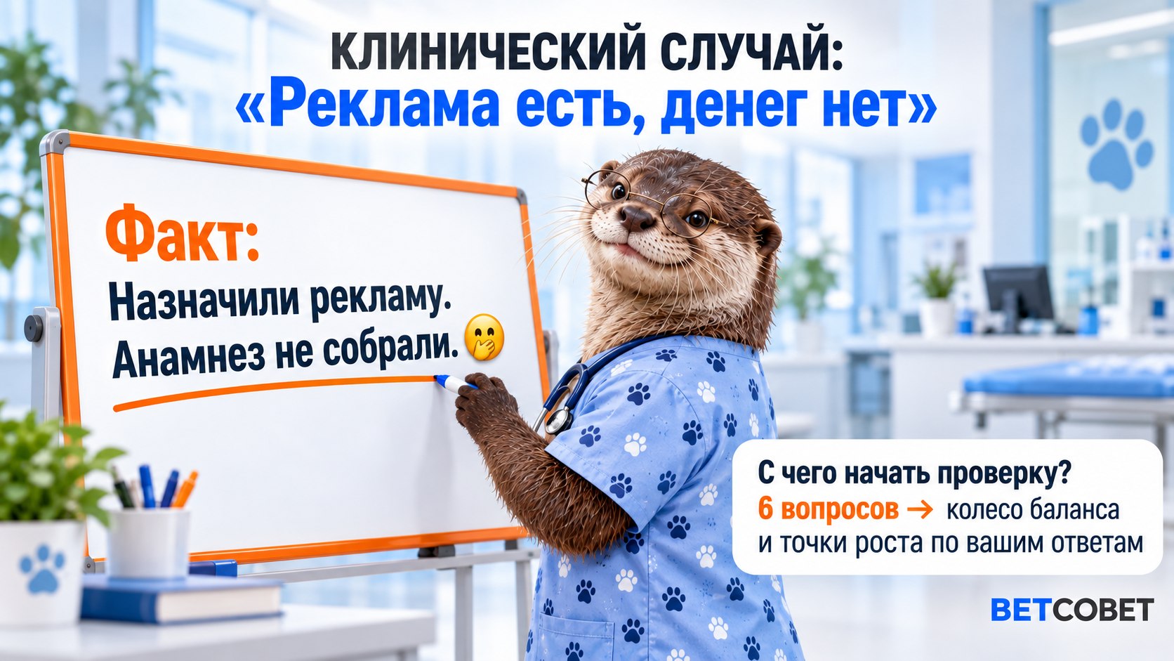 ВЕТСОВЕТ | Маркетинг ветклиник