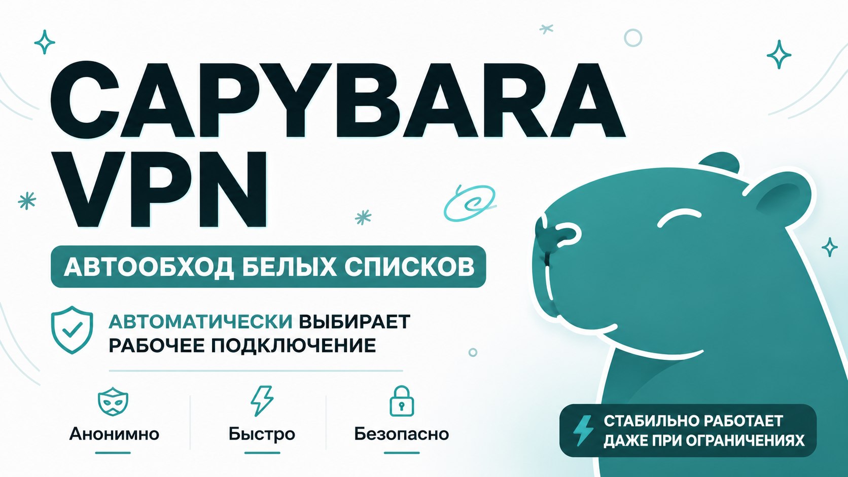 Capybara VPN | Happ | v2RayTun