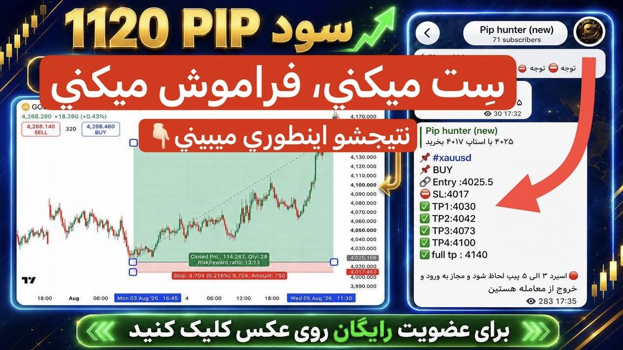 Fazeli.finance
