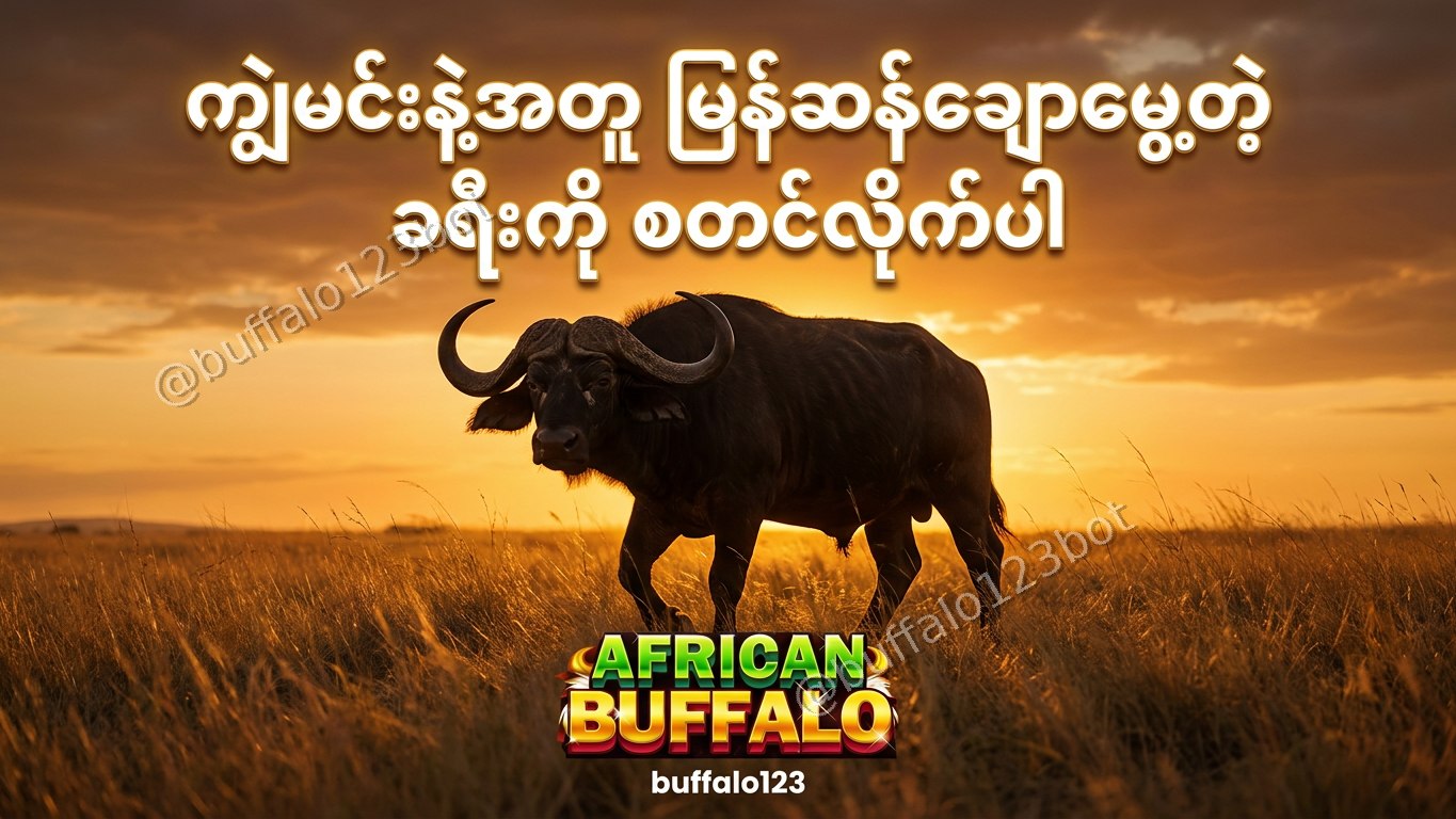 ကျွဲဂိမ်း Buffalo123 Official