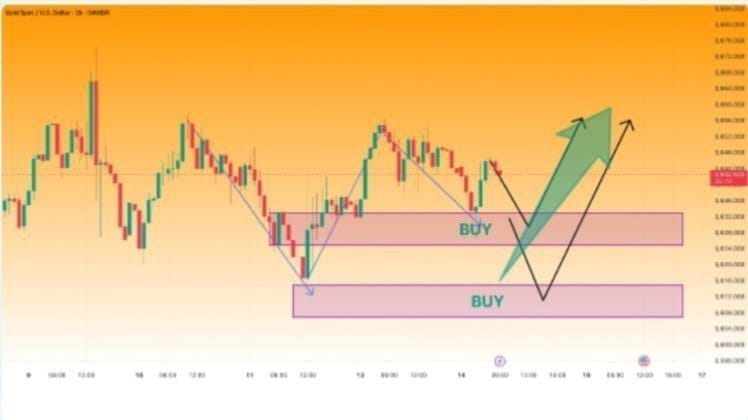 FOREX VIP PIPS MASTER