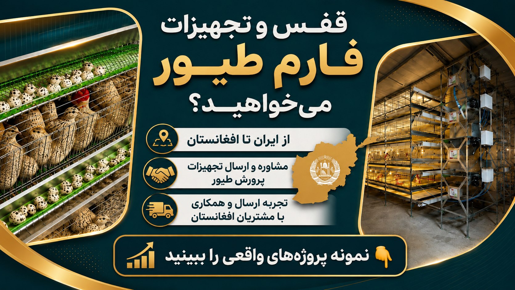 پرورش طیور با پرآور 🐓