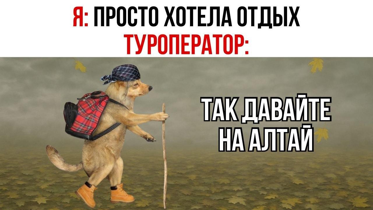 АЛТАЙ | ТУРЫ НА АЛТАЙ | ПУТЕШЕСТВИЯ