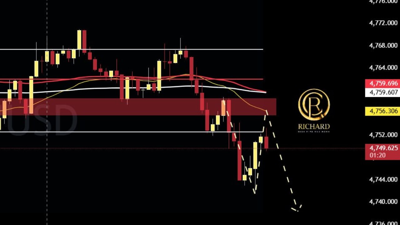 Richard 1000 Pips & More