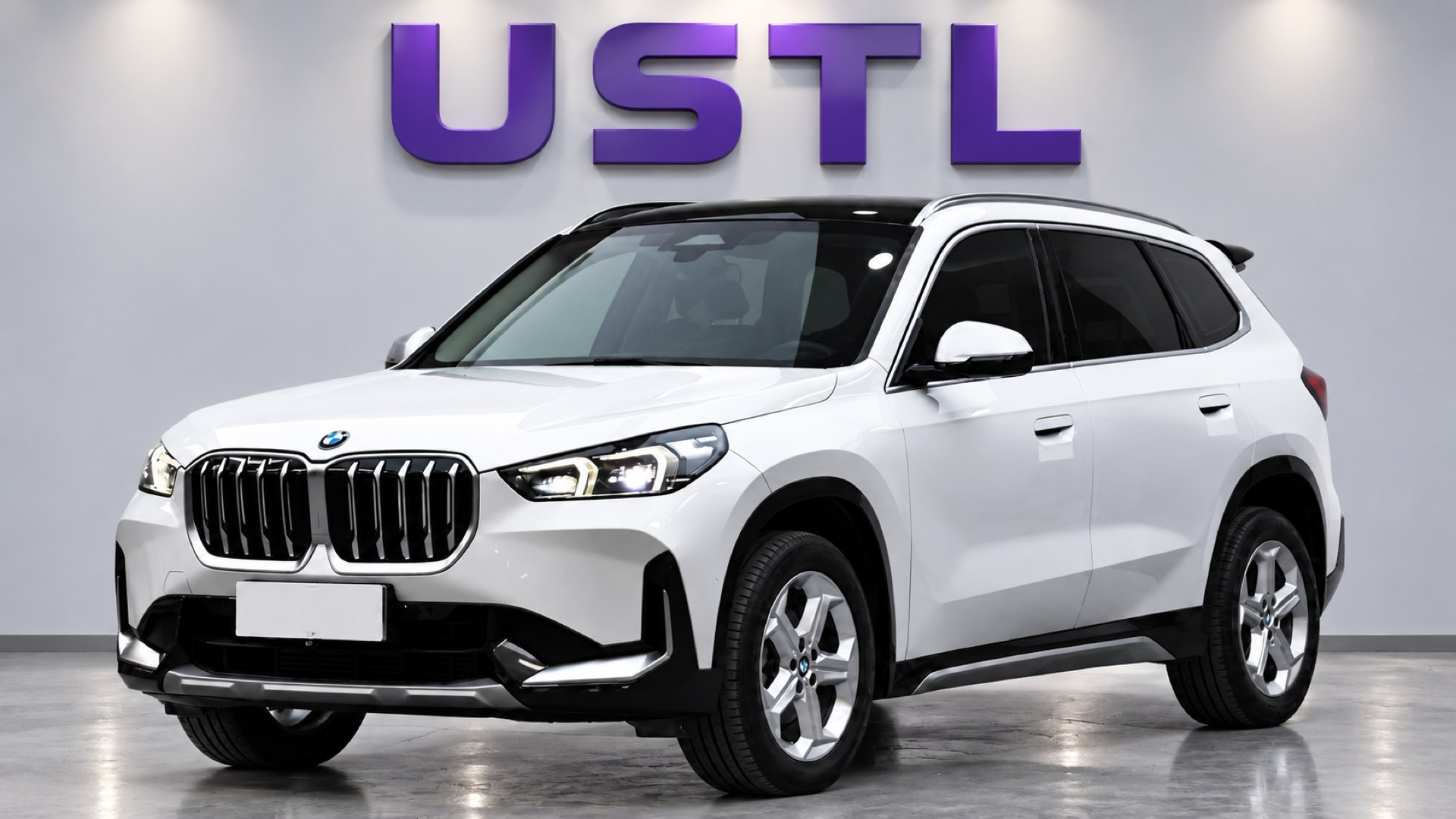 UST Limited