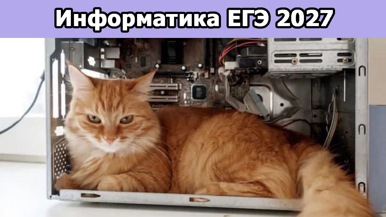 информатика и котики / ЕГЭ ОГЭ Стадикэтс