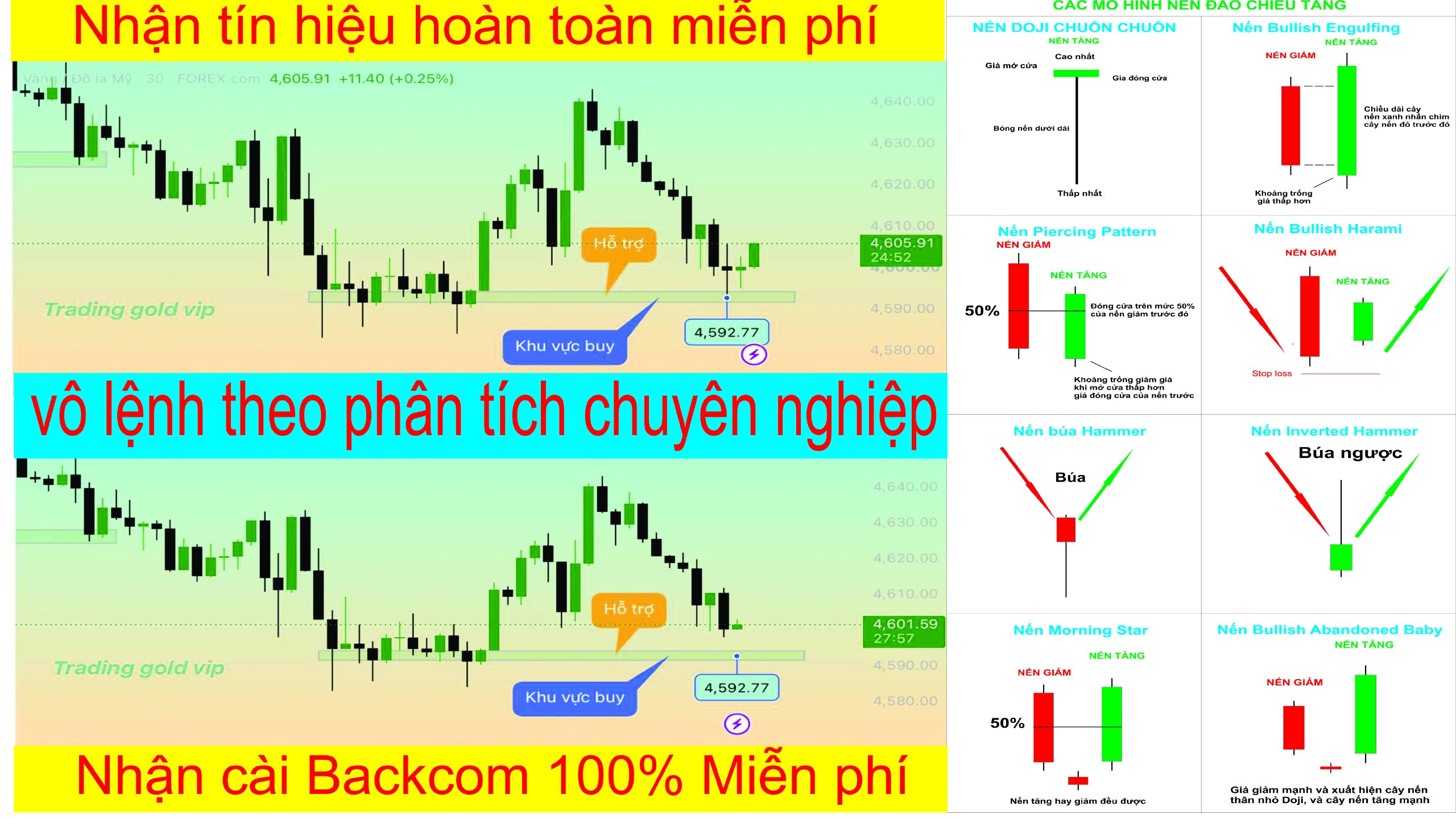 🇻🇳From47Fx TRADING
