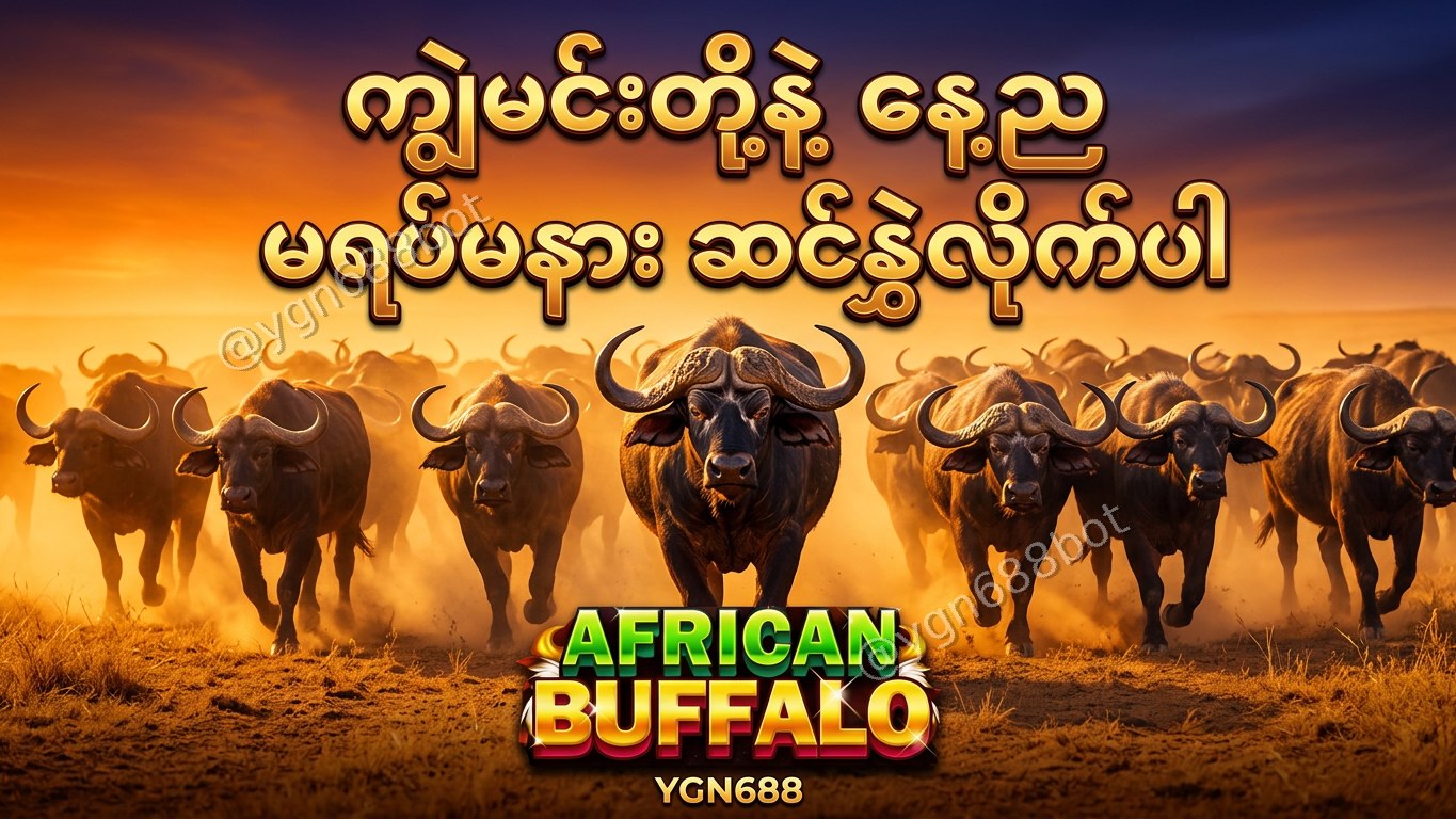 YGN688 - အော်တိုတိုက်ရိုက်ဂိမ်းဆိုက်
