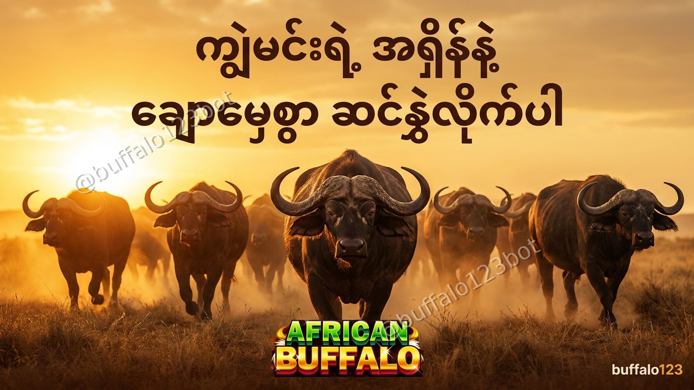 ကျွဲဂိမ်း Buffalo123 Official