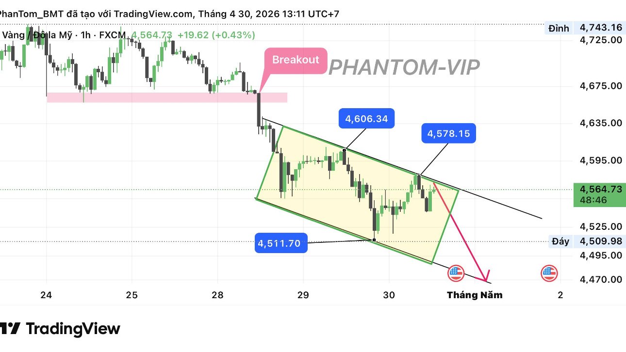 PHANTOM-CHỐT NON VÀNG 🇻🇳