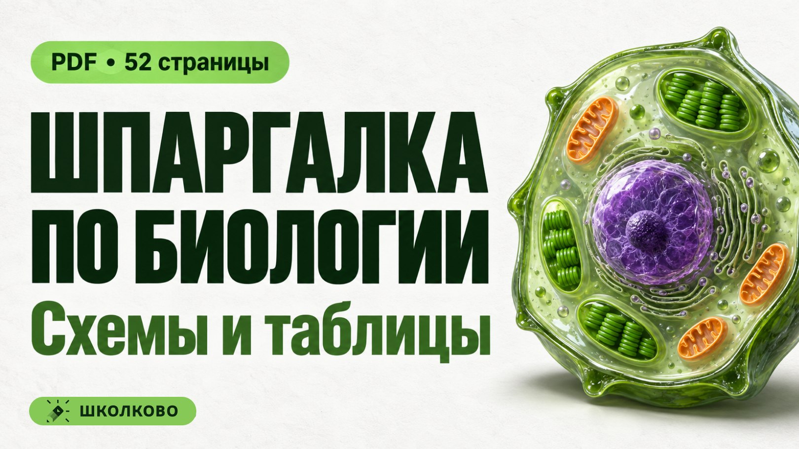 Химия и Биология Мутаген Школково