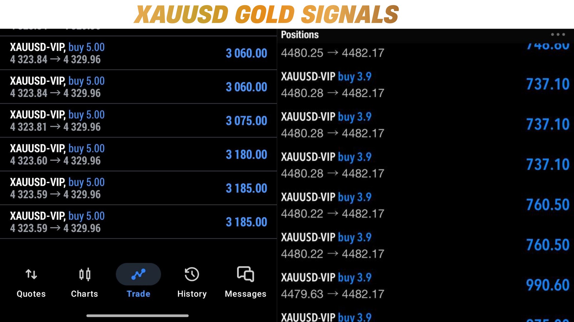 Prime Gold Network 👑