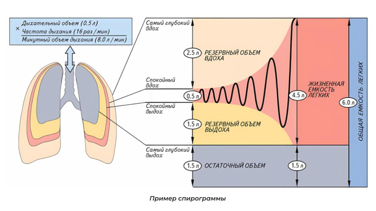 ноо — биология егэ