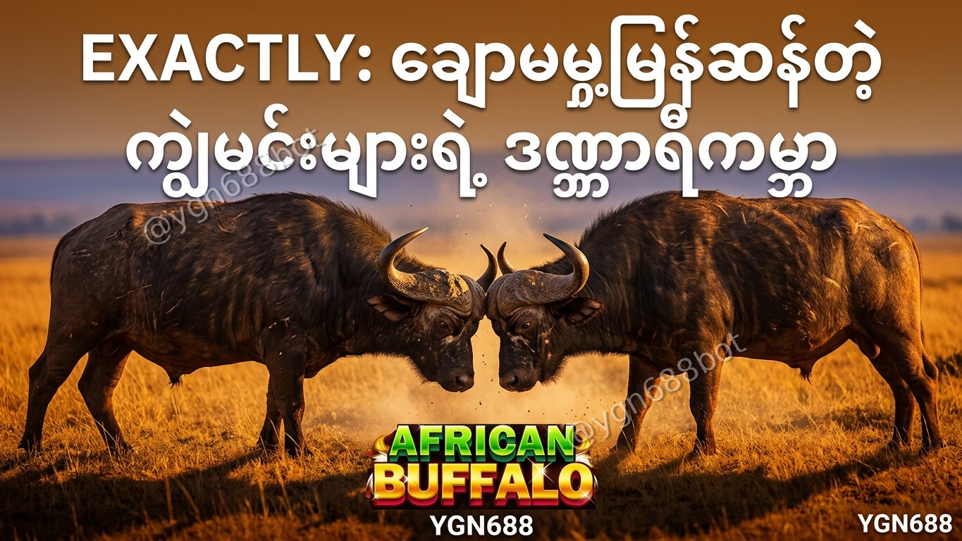 YGN688 - အော်တိုတိုက်ရိုက်ဂိမ်းဆိုက်