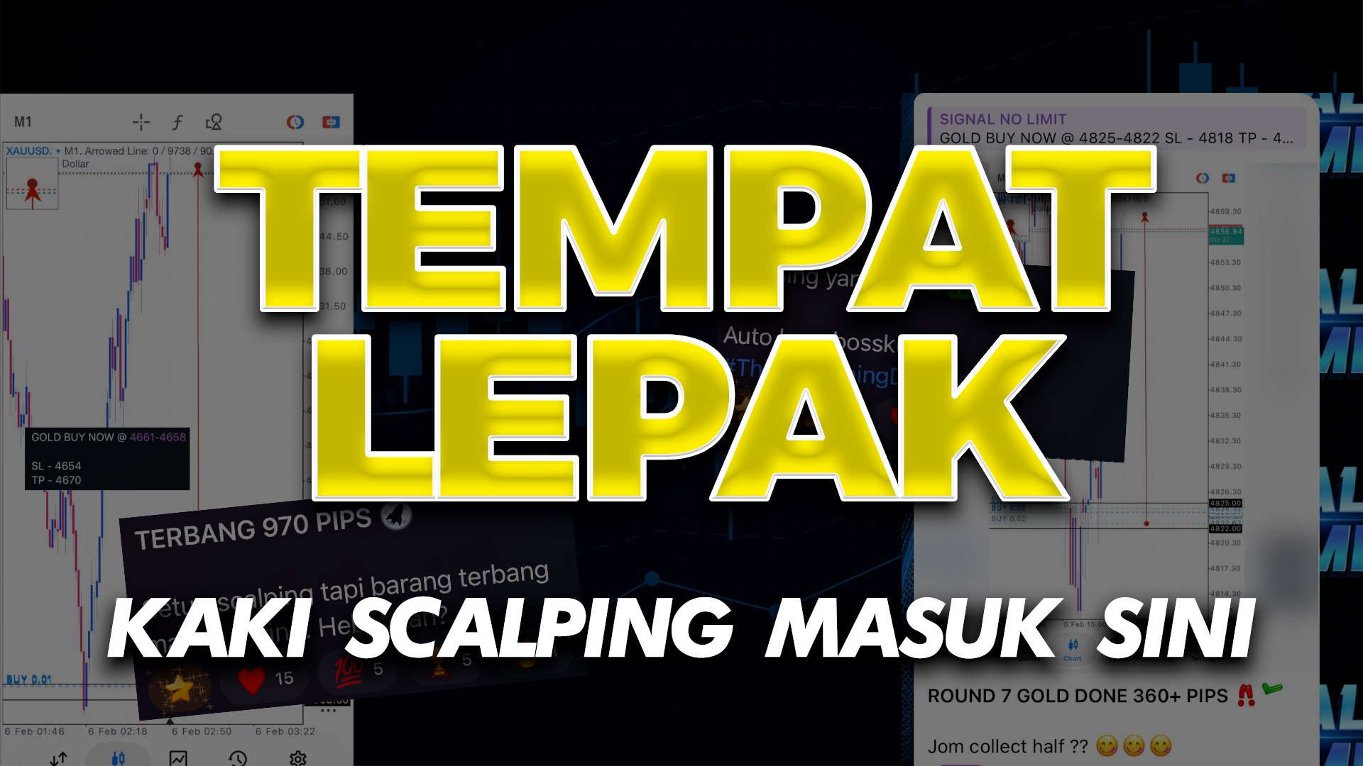 MIMIE SCALPING DERHAKA