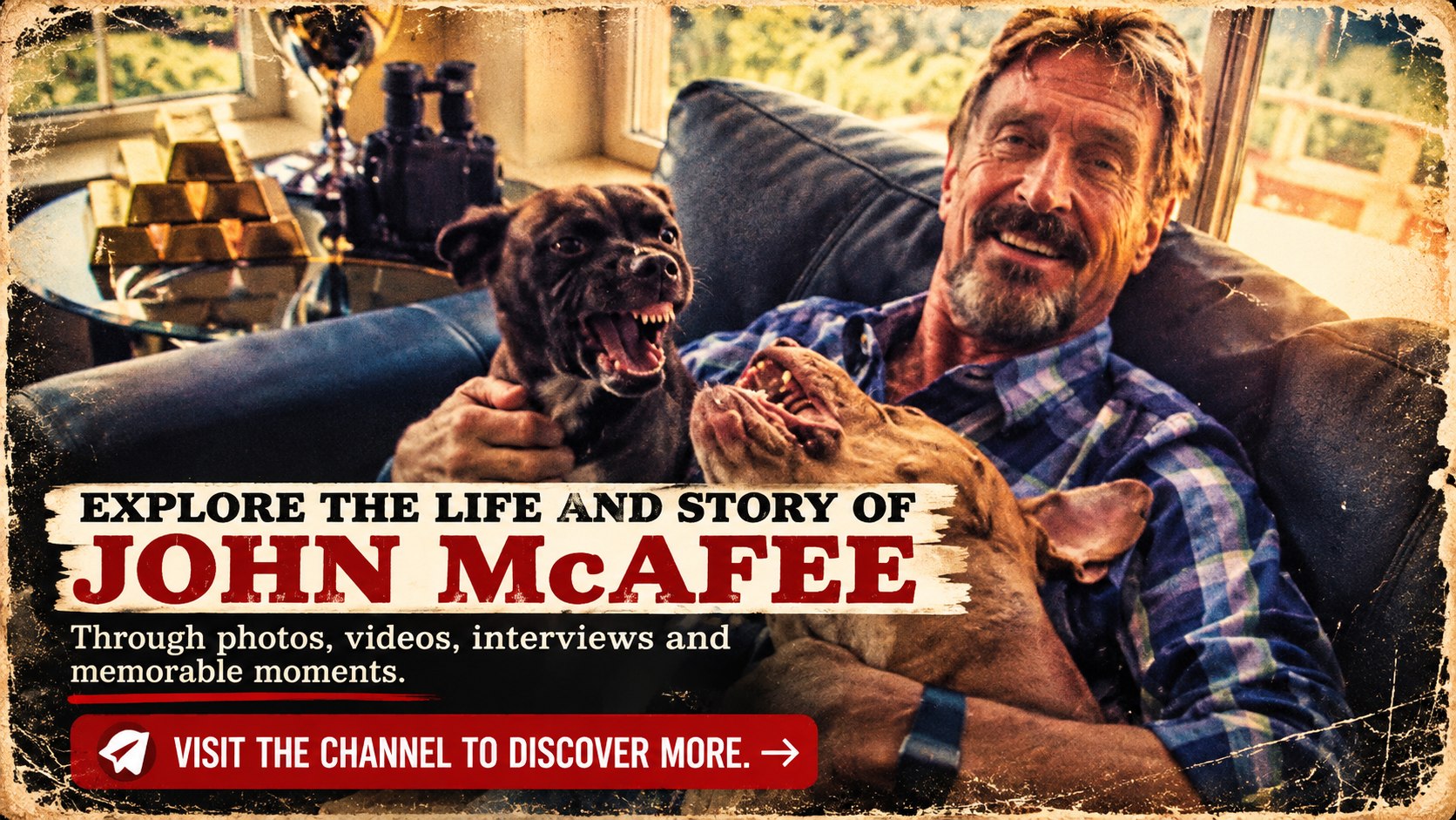 The McAfee Archive