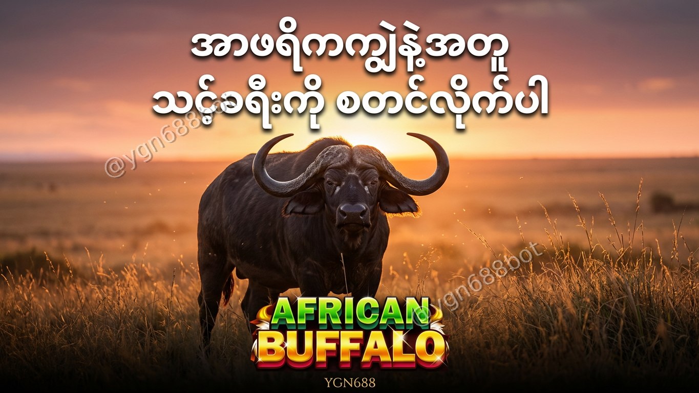 YGN688 - အော်တိုတိုက်ရိုက်ဂိမ်းဆိုက်