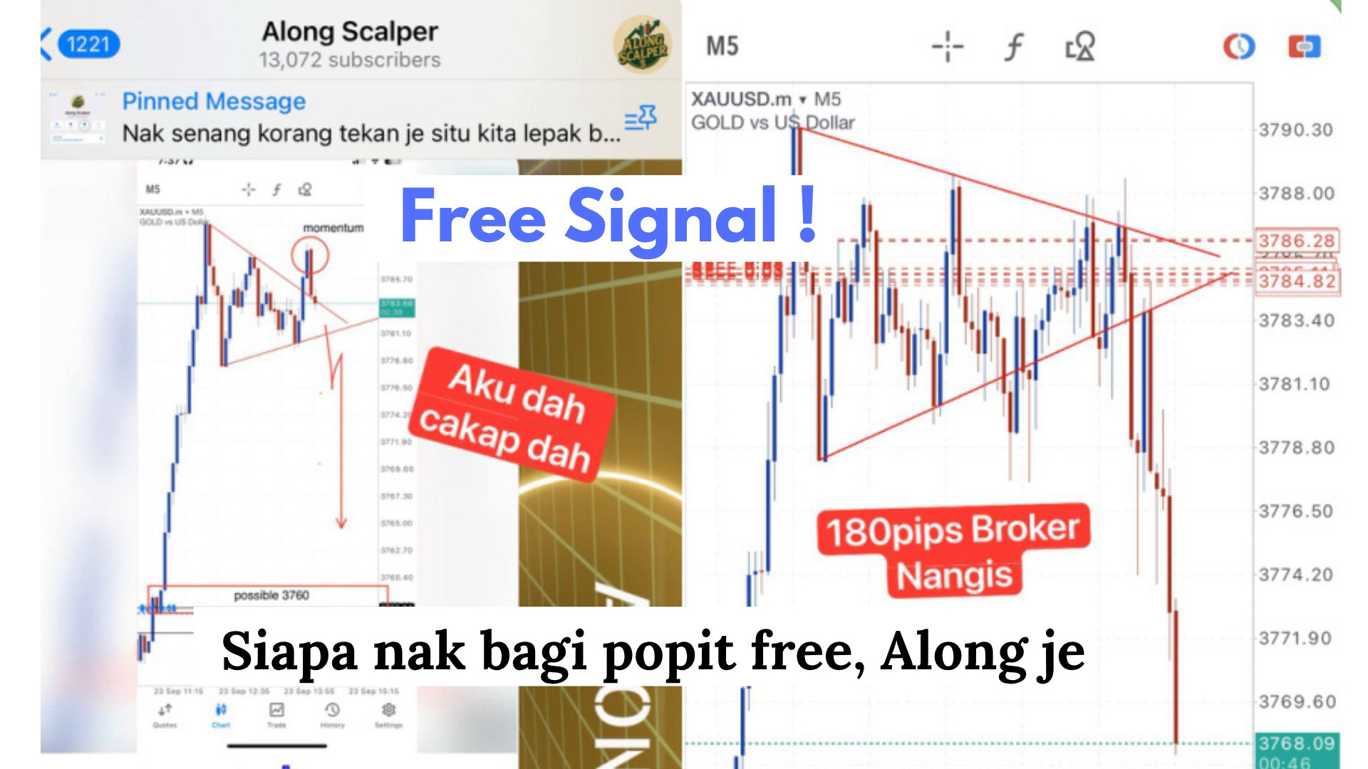 Along Gold Scalper