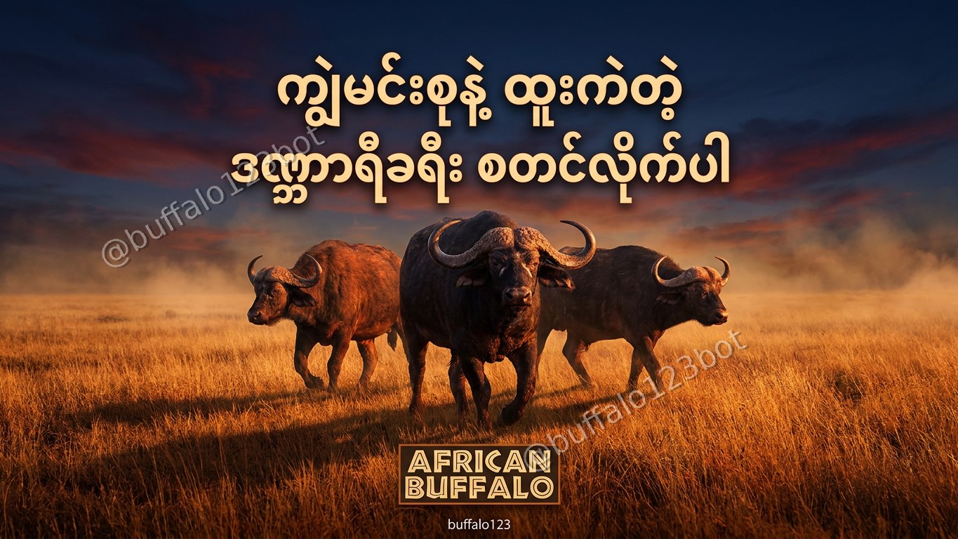 ကျွဲဂိမ်း Buffalo123 Official