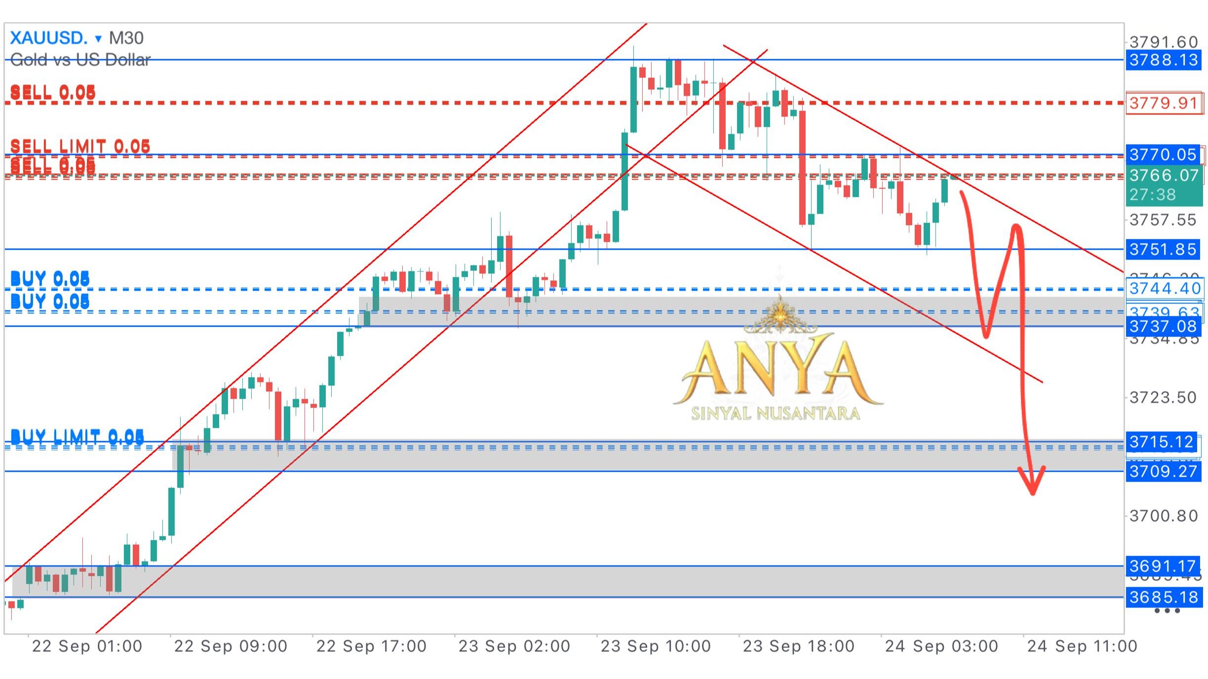 Anya Zona Layer