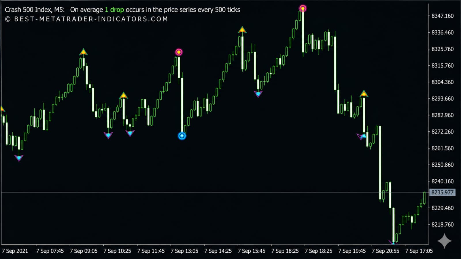 TRADING VIEW