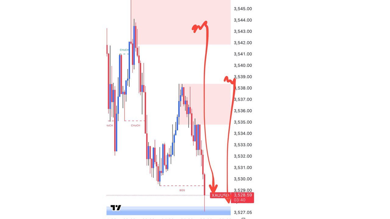 TRADER OTAI