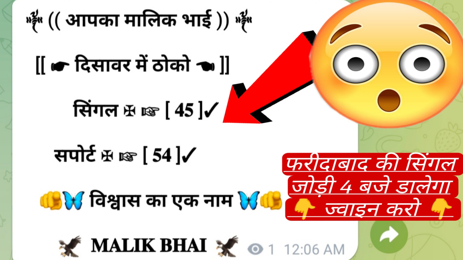 𝗠𝗔𝗟𝗜𝗞 𝗕𝗛𝗔𝗜