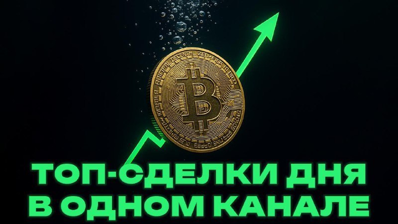 Илья Соловей