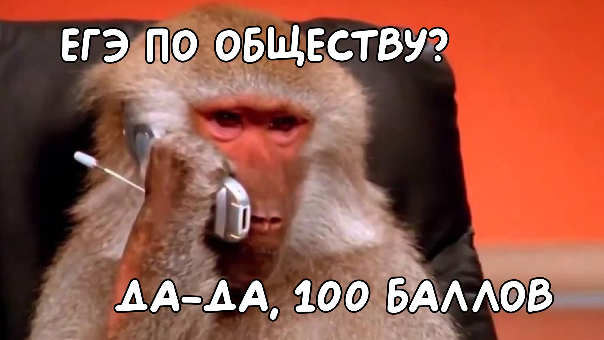 Тесты ЕГЭ по обществознанию