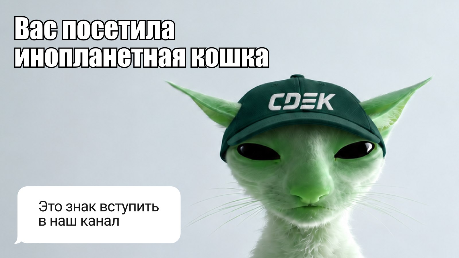 СДЭК